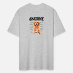 Anatomy Of A Golden Retriever Dog Mom Dad