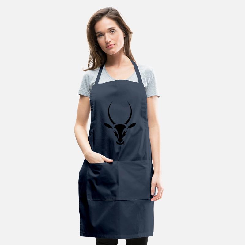 antelope springbok south africa