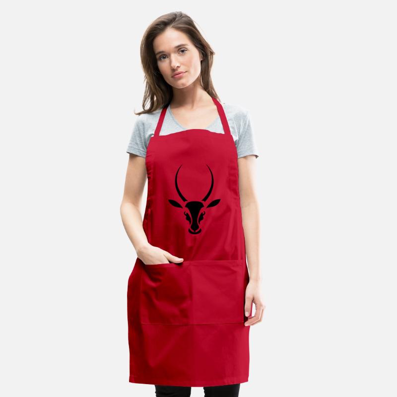 antelope springbok south africa