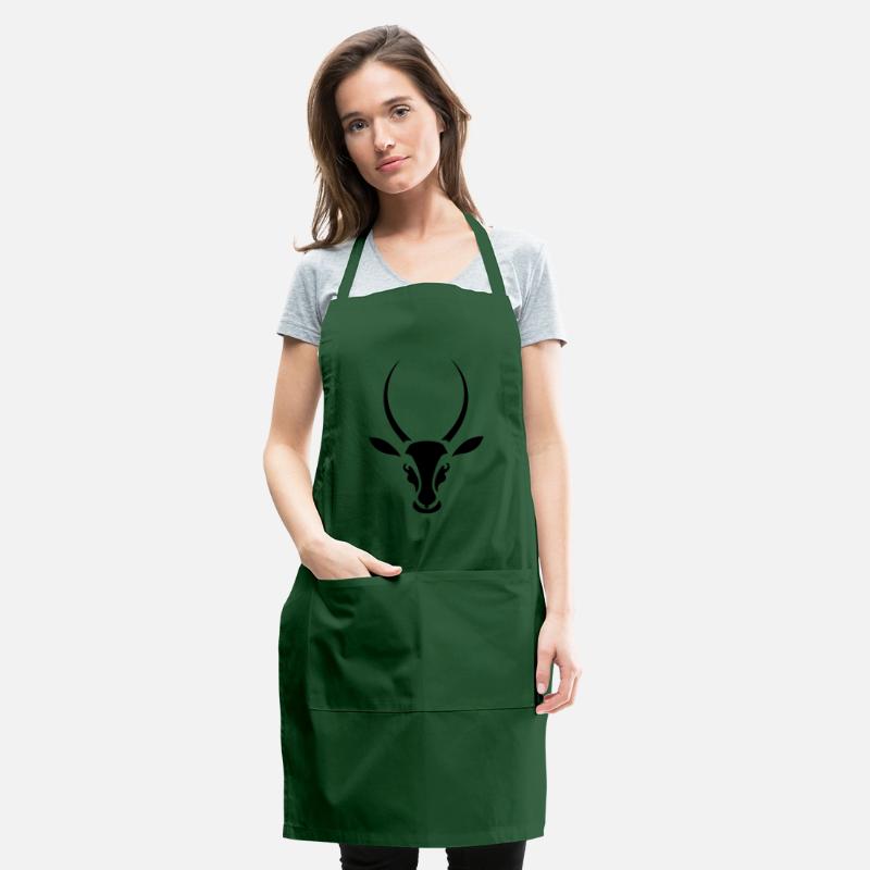 antelope springbok south africa