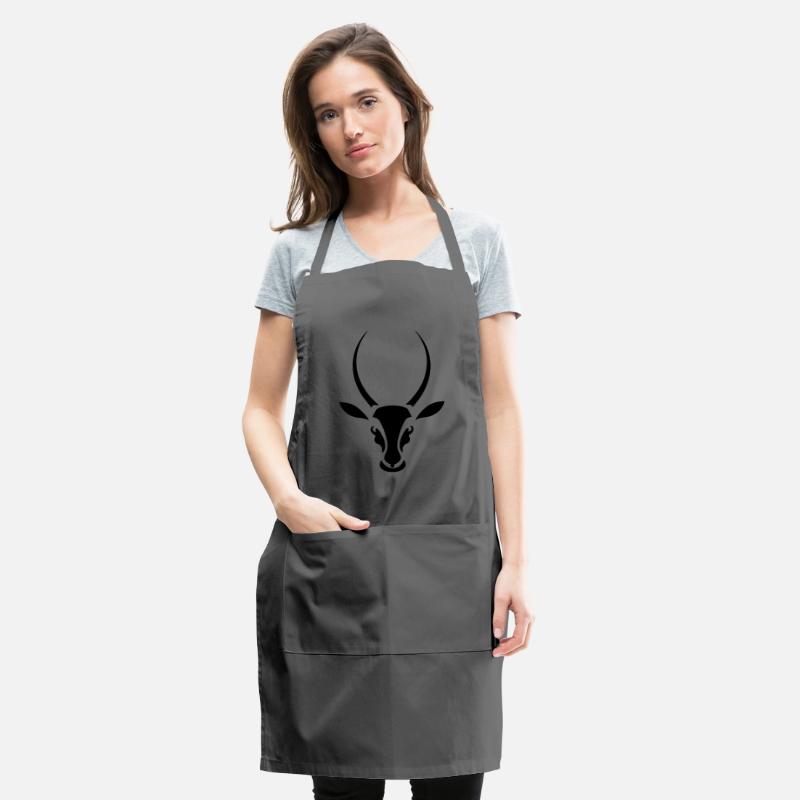 antelope springbok south africa